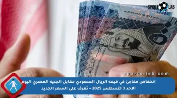 انخفاض مفاجئ في قيمة الريال السعودي مقابل الجنيه المصري اليوم الأحد 3 أغسطس 2025 – تعرف على السعر الجديد